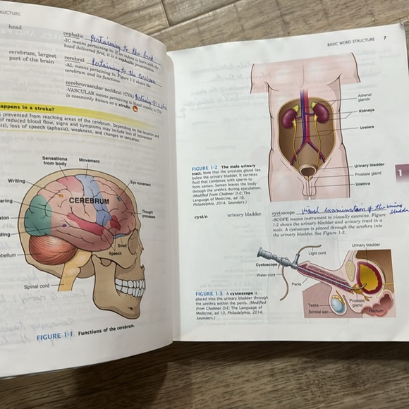 $15 Medical Terminology A short course 7th edition by Davi-Ellen Chabner - Picture 4 of 4